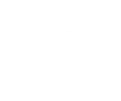 IDS Systems Logo
